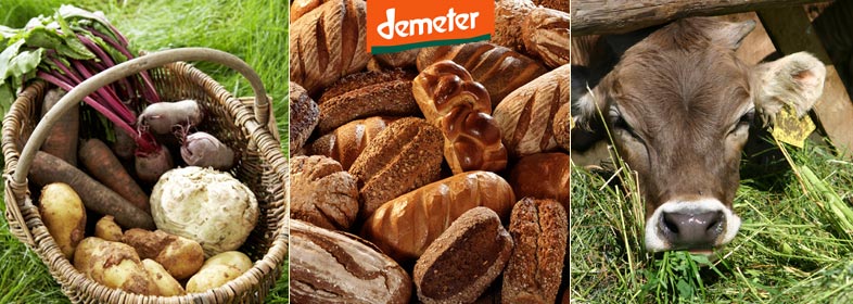 imagebild demeter
