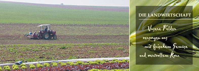 imagebild landwirtschaft